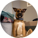 Blake Milner profile picture
