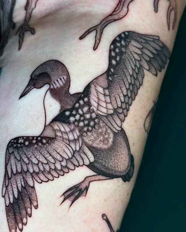 Black and Grey Bird
