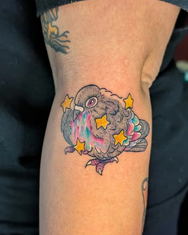 Colorful Pigeon